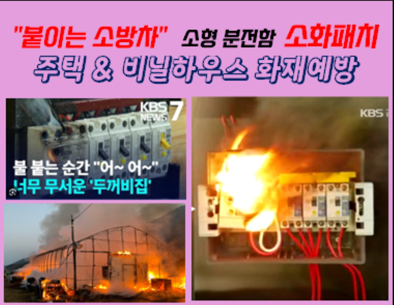 두꺼비-2.png